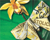 Thumbnail Image 5