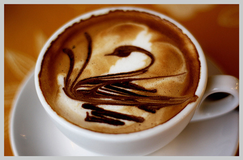 Latte Art Dark Swan
