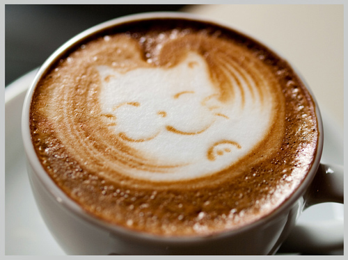 Latte Art Kitten