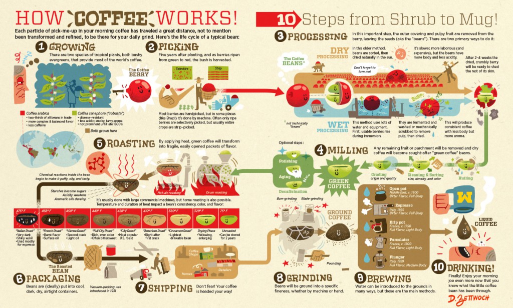 Coffee Infographic - Dan Zettwoch