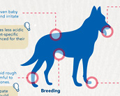 Thumbnail Image 1